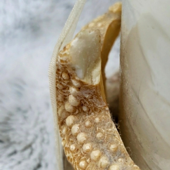 Vintage Beautiful Candleholder /5 Starfishes With Big Wight Big Candle - Picture 10 of 10